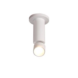דקור צילינדר מתכוונן 20210 לבן LED
